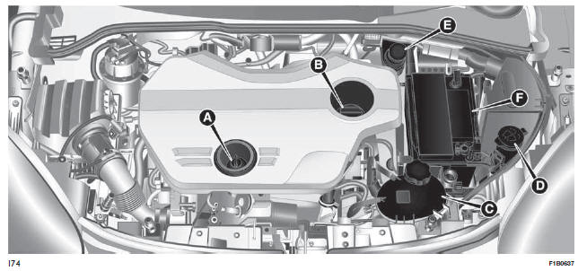 Fiat 500X Sprawdzanie poziomów plynów Komora silnika