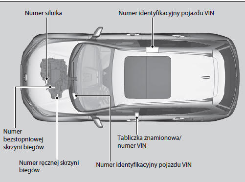 Numery identyfikacyjne